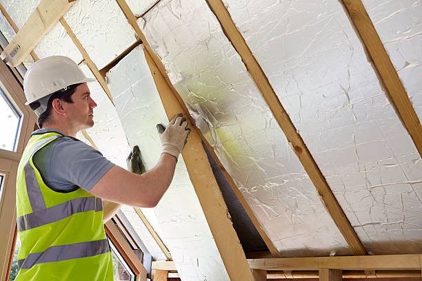 Best Insulation Replacement Services  in Quincy, MI